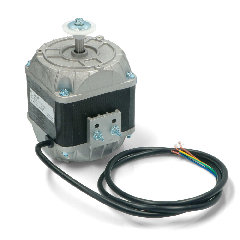 Aggiungi corpo del testo - 2024-07-25T143205.516