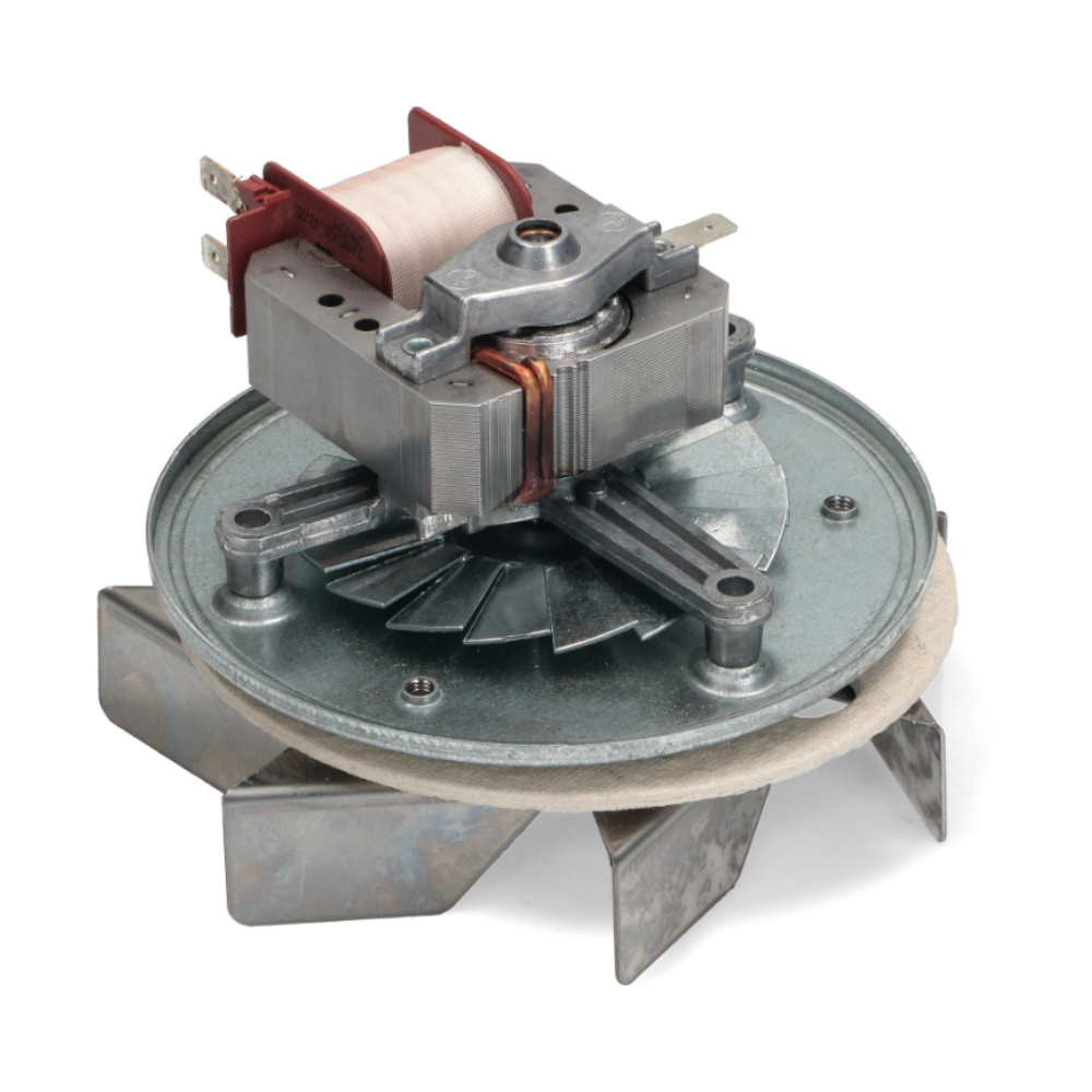 Aggiungi corpo del testo - 2026-02-24T145913.376