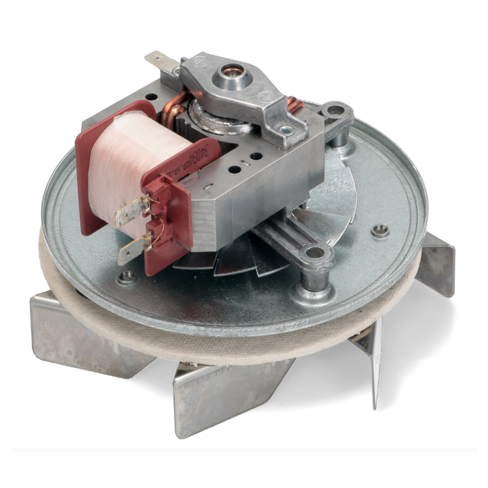 Aggiungi corpo del testo - 2026-02-24T145953.242