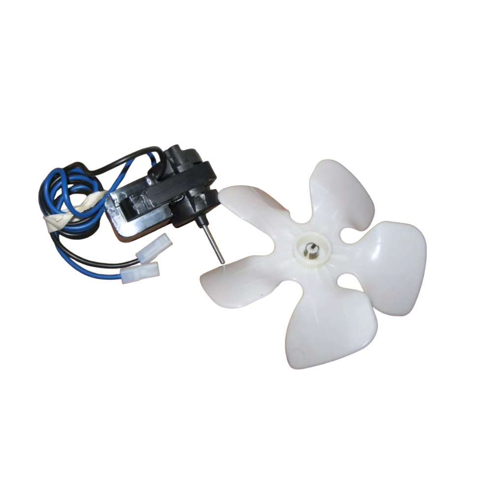 Progetto senza titolo (77)