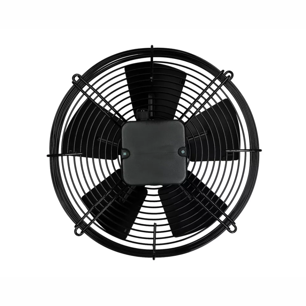 Progetto senza titolo (37)