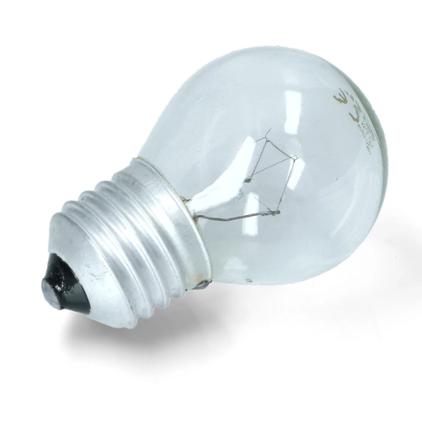 Progetto senza titolo (49)